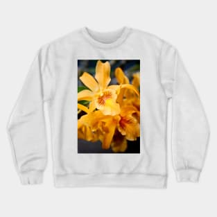 Yellow Orchid Flower Flowering Plant Crewneck Sweatshirt